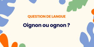 Blog - Oignon ou ognon